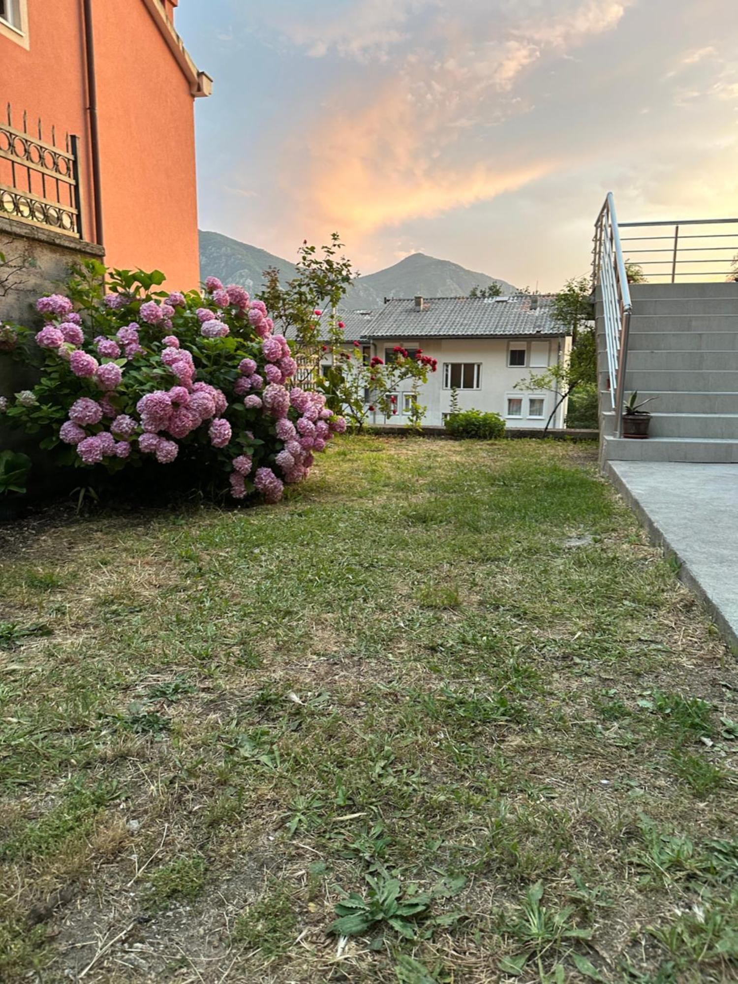 Sunny Apartment Kotor Extérieur photo